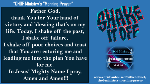 Shake It Off 08112015